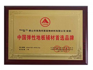 2014年中国弹性地板辅材首选品牌