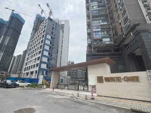 中建福东龙•华府配套学校